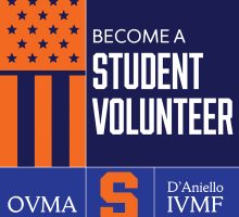Become A Student Volunteer